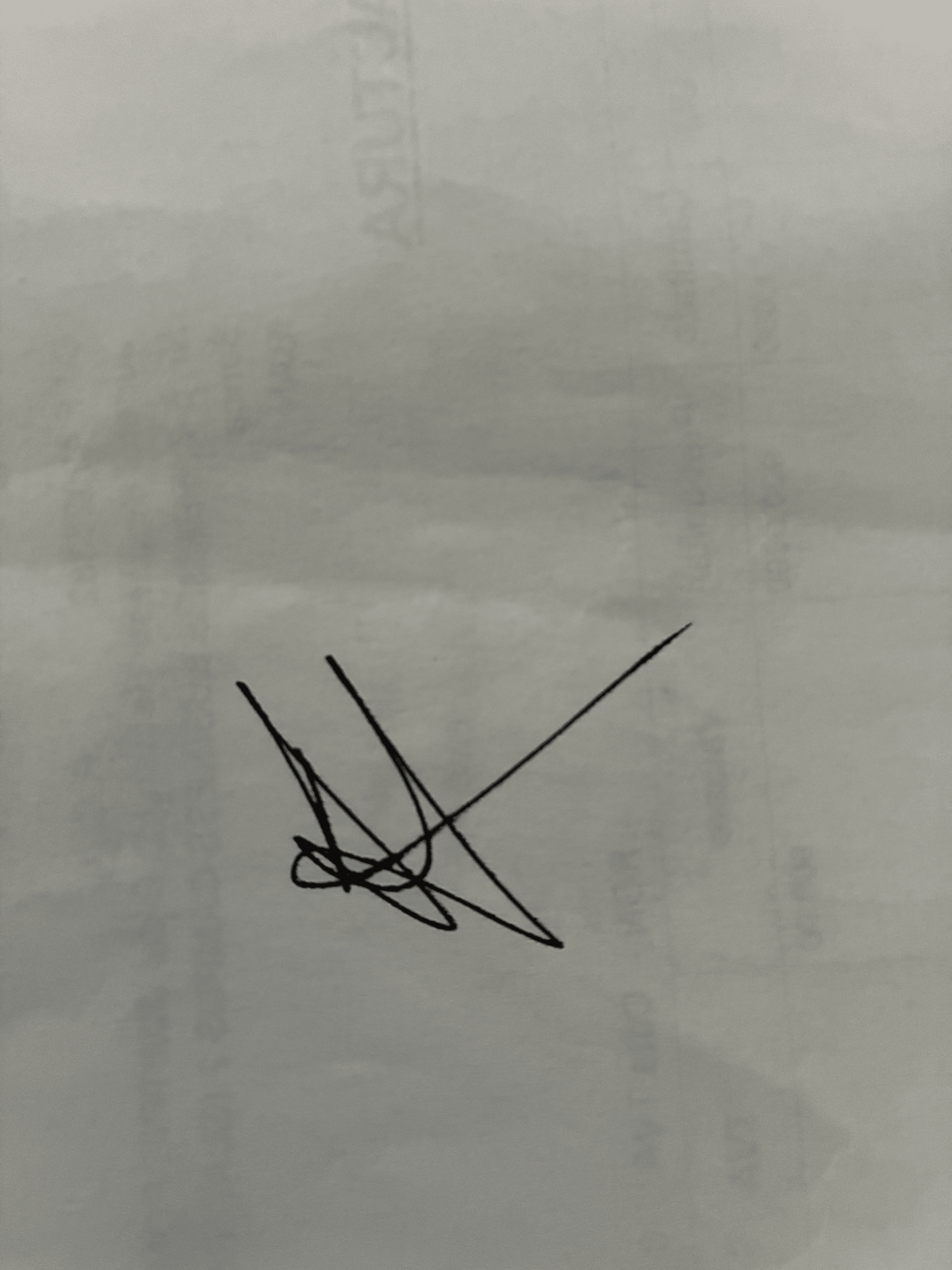 Test test test test